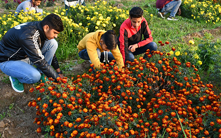 B.Sc. Horticulture