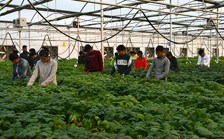 M.Sc. Horticulture