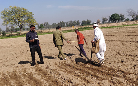 Ph.D. Horticulture